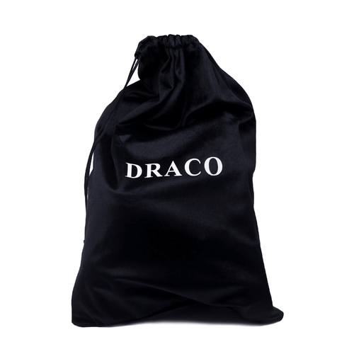 DracoSlides Money Bag