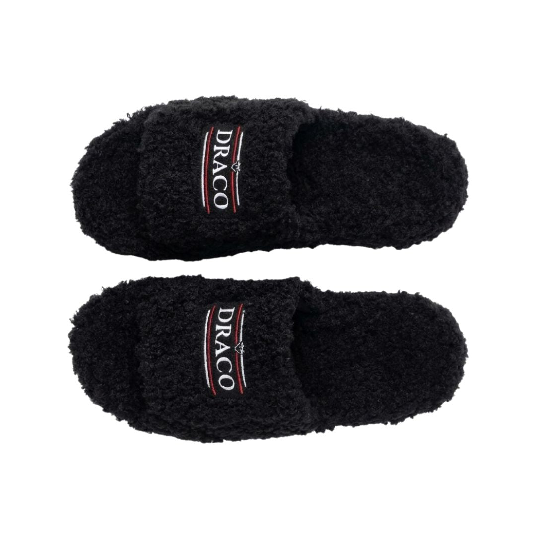 Fuzzy DracoSlides