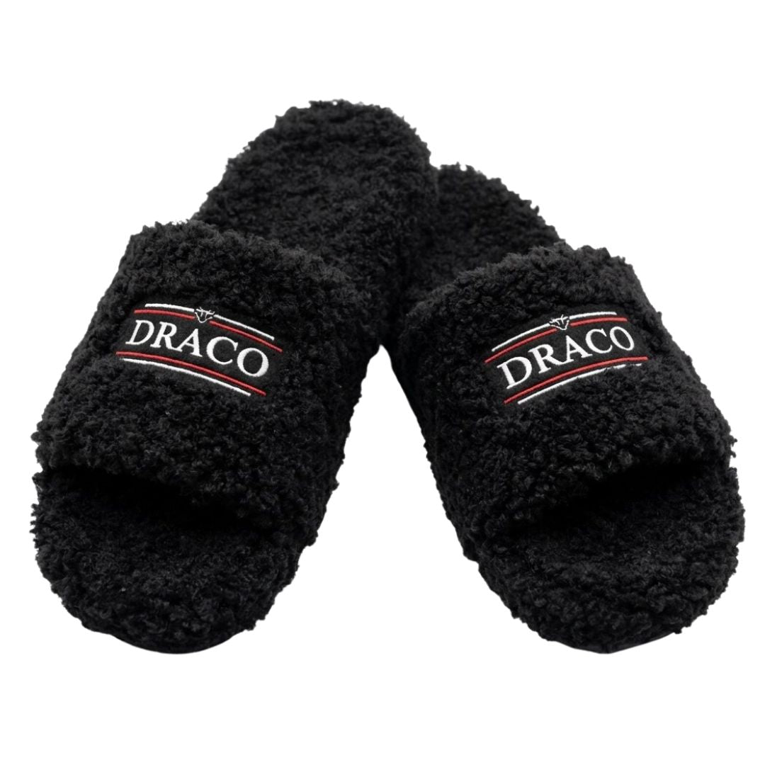 Fuzzy DracoSlides