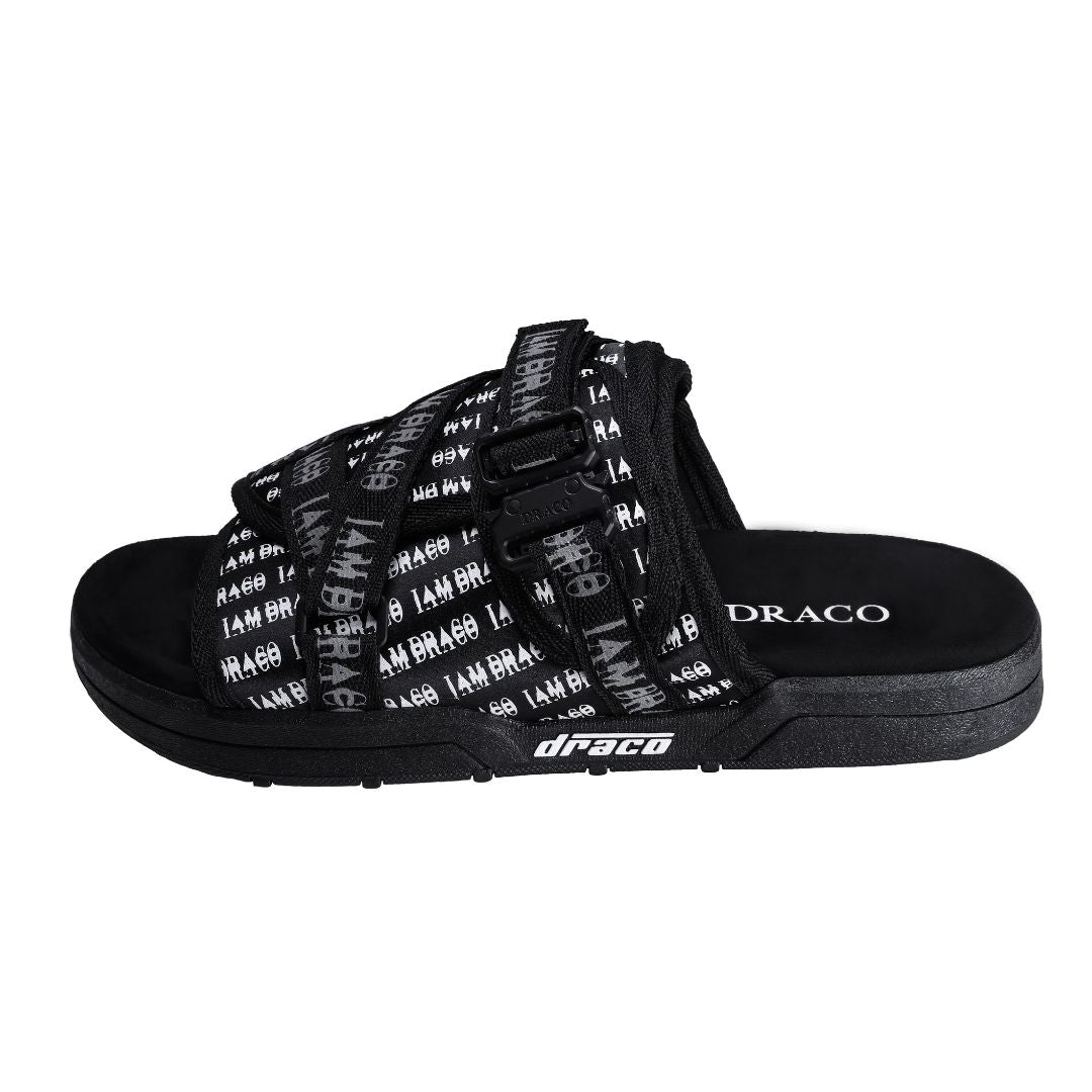 'I AM DRACO' SLIDES