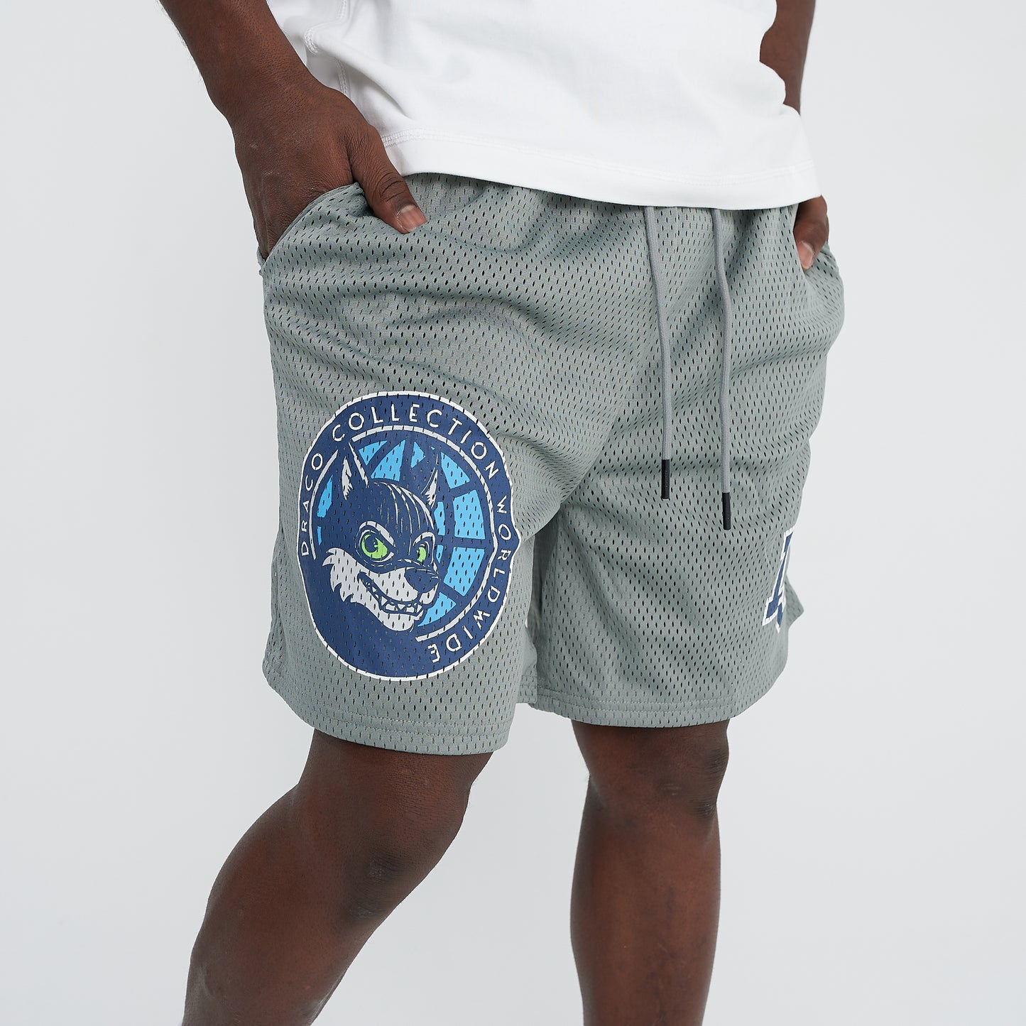 Draco Team Shorts