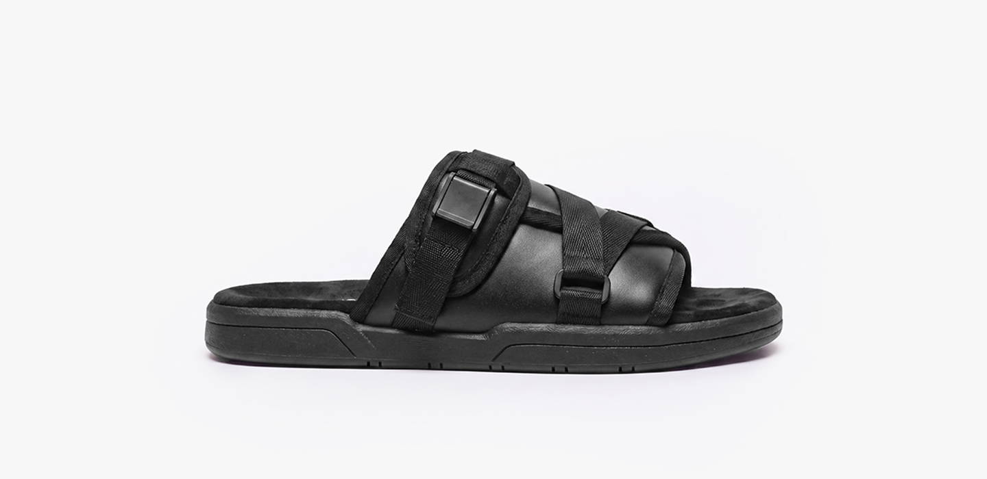 DRACOSLIDES