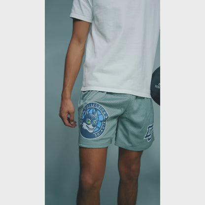 Draco Team Shorts